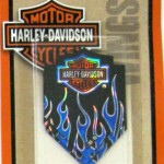 Harley Davidson Flights