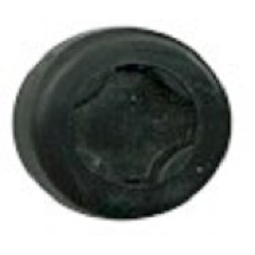 puck